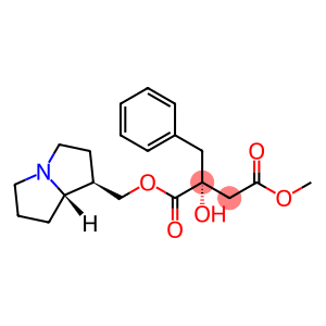 Phalaenopsine T