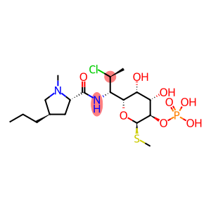 Clindaymcin Palmitate hydrochloride USP23