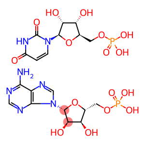 5-Adenylic acid, homopolymer, complex with 5-uridylic acid homopolymer (1:2)