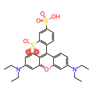 磺酰罗丹明B酸式