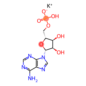 多聚腺苷酸钾盐