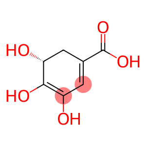 3-dehydroshikimate