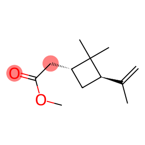 (1R)-3β-Isopropenyl-2,2-dimethylcyclobutane-1β-methanol acetate
