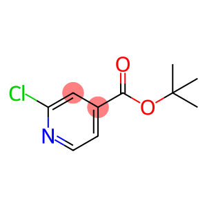 tert-butyl 2-chloropyridine-4-carboxylate