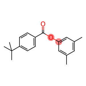3,5-dimethylphenyl 4-(1,1-dimethylethyl)benzoate