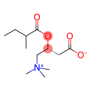 3-羧基-N,N,N-三甲基-2-(2-甲基-1-氧代丁氧基)-1-丙铵内盐