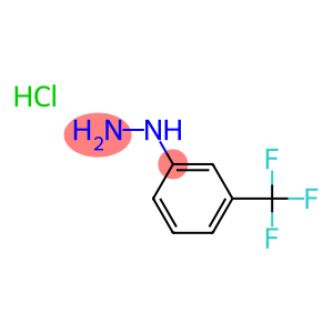 3-三氟甲基苯肼HC