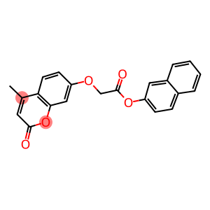 2-naphthyl [(4-methyl-2-oxo-2H-chromen-7-yl)oxy]acetate
