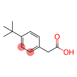 4-tert-Butylphenylacetic acid