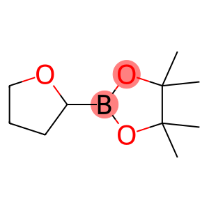 4,4,5,5-tetramethyl-2-tetrahydrofuran-2-yl-1,3,2-dioxaborolane