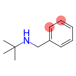 2-甲基-N-(苯基甲基)丙-2-胺