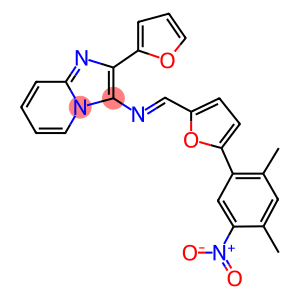 2-(2-furyl)-3-{[(5-{5-nitro-2,4-dimethylphenyl}-2-furyl)methylene]amino}imidazo[1,2-a]pyridine