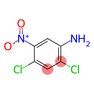 2,4-二氯-5-硝基-苯基胺