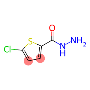 5-CHLORO-2-THIOPHENCARBOXYLIC ACID HYDRAZIDE