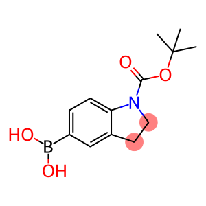 1H-Indole-1-carboxylic acid, 5-borono-2,3-dihydro-, 1-(1,1-dimethylethyl) ester (9CI)