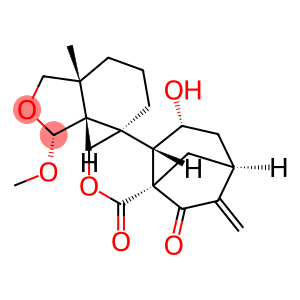 6-表-狭叶香茶菜素