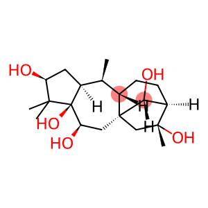 Grayanotoxane-3,5,6,14,16-pentol, (3β,6β,10α,14R)- (9CI)