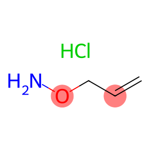 Hydroxylamine, O-2-propenyl-, hydrochloride (9CI)