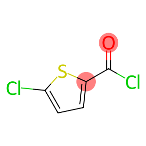 5-氯噻吩-2-甲酰氯