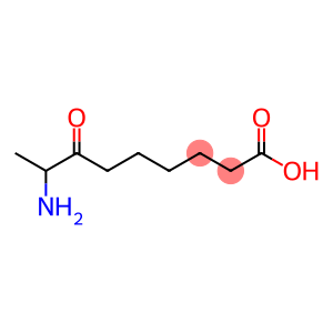 7-Keto-8-aminopelargonic acid