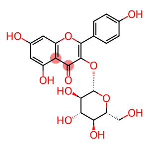 莰非醇-3-O-葡萄糖苷
