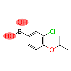 3-氯-4-异丙氧基苯基硼酸