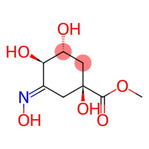 Cyclohexanecarboxylic acid, 1,3,4-trihydroxy-5-(hydroxyimino)-, methyl ester, (1S,3R,4R,5E)- (9CI)