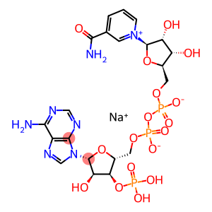 BETA-烟酰胺腺嘌呤双核苷酸