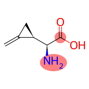 Cyclopropaneacetic acid, α-amino-2-methylene-, [S-(R*,S*)]- (9CI)