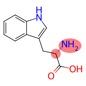 α-amino-β-indolepropinic acid