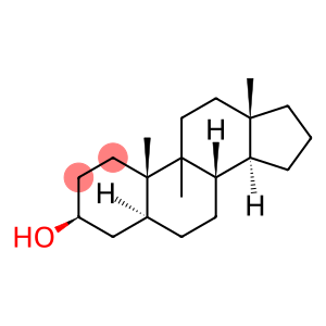 Androstan-3-ol, 9-methyl-, (3β,5α)- (9CI)