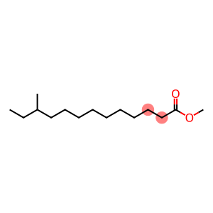 Tridecanoic acid, 11-methyl-, methyl ester