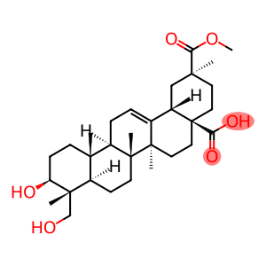 Phytoaccigenic Acid