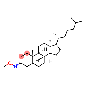 Cholestan-3-one, O-methyl oxime (9CI)