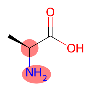 α-氨基丙酸