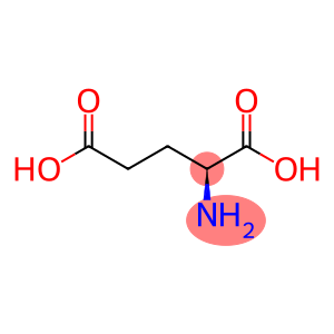 (S)-2-Aminopentanedioic  acid,  Glu