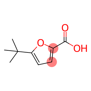 5-叔丁基呋喃-2-甲酸