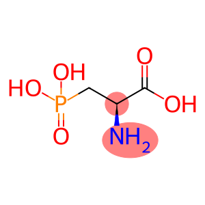 D,L-2-Amino-3-phosphonopropionic Acid