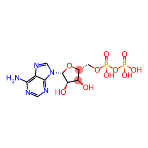 腺苷-5ˊ-二磷酸