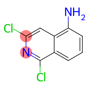 1,3-二氯异喹啉-5-胺