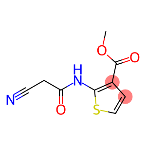 2-(2-氰基乙酰基氨基)噻吩-3-甲酸甲酯