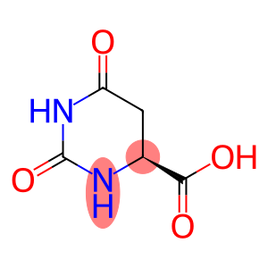 三磷酸脱氧核糖核苷酸