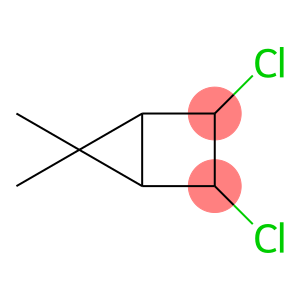 Bicyclo[2.1.0]pentane, 2,3-dichloro-5,5-dimethyl- (9CI)