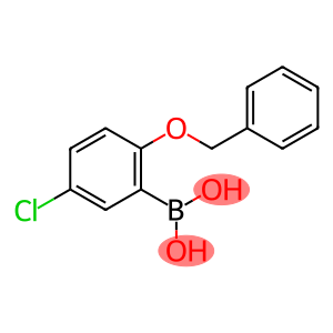 2-苄氧基-5-氯苯硼酸