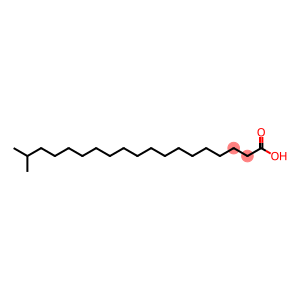 Nonadecanoic acid, 18-methyl-