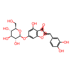 3(2H)-Benzofuranone, 2-[(3,4-dihydroxyphenyl)methylene]-6-(β-D-glucopyranosyloxy)-4-hydroxy-, (2Z)-