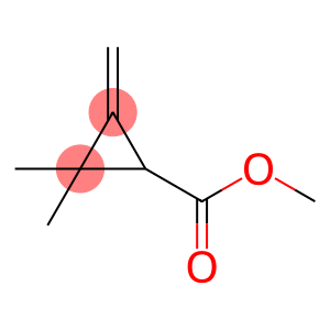 Cyclopropanecarboxylic acid, 2,2-dimethyl-3-methylene-, methyl ester