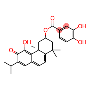 3,4-Dihydroxybenzoic acid [(3S)-1,2,3,4,4a,6-hexahydro-5-hydroxy-1,1,4aβ-trimethyl-7-isopropyl-6-oxophenanthren-3α-yl] ester