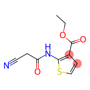 ethyl 2-[(cyanoacetyl)amino]thiophene-3-carboxylate