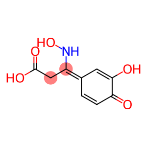Benzenepropanoic acid, 3,4-dihydroxy-ba-(hydroxyimino)- (9CI)
